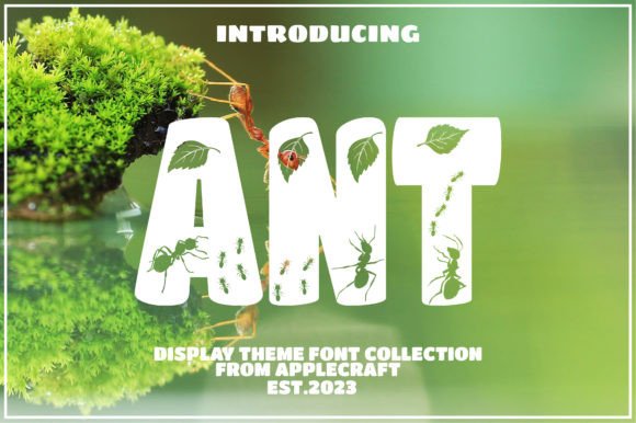 Ant: A Bold Font for Creative Campaigns