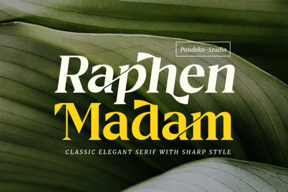 Raphen Madam: A Serif Font for Bold Branding