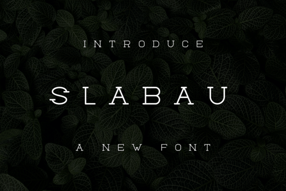 Slabau: A Stylish Serif Font for Editorial Design