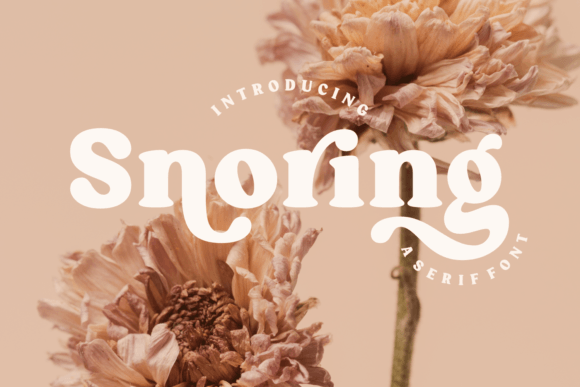 Snoring: A Serif Font for Campaigns