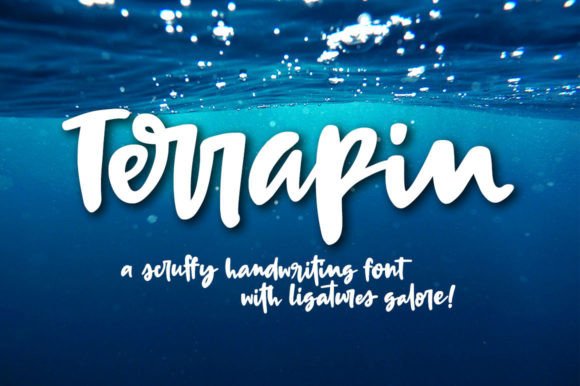 Terrapin: A Handwritten Font for Creative Makers