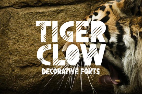 Tiger Clow: Bold & Unapologetic